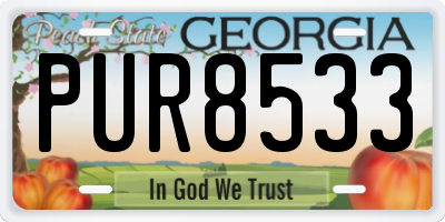 GA license plate PUR8533