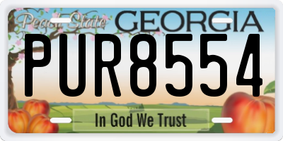 GA license plate PUR8554