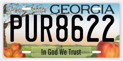 GA license plate PUR8622