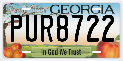 GA license plate PUR8722