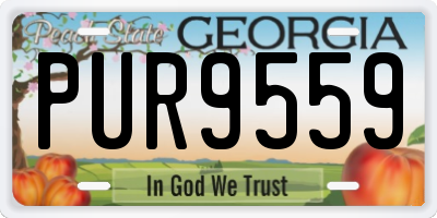 GA license plate PUR9559