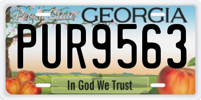 GA license plate PUR9563