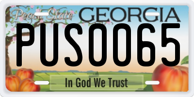 GA license plate PUS0065
