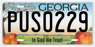 GA license plate PUS0229
