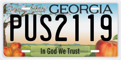 GA license plate PUS2119