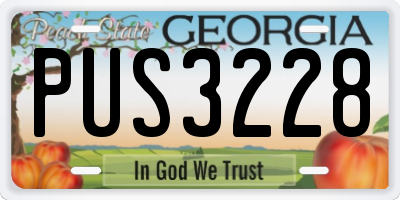 GA license plate PUS3228