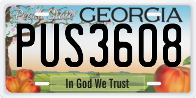 GA license plate PUS3608