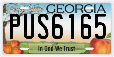 GA license plate PUS6165