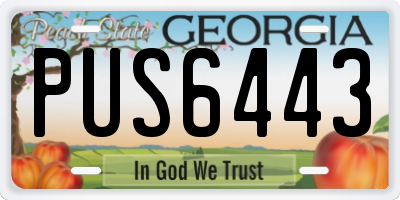 GA license plate PUS6443