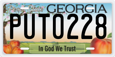GA license plate PUT0228