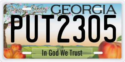 GA license plate PUT2305