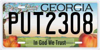 GA license plate PUT2308