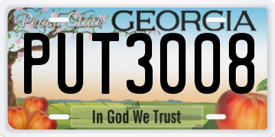 GA license plate PUT3008