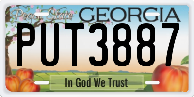 GA license plate PUT3887