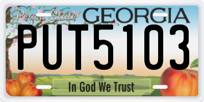 GA license plate PUT5103