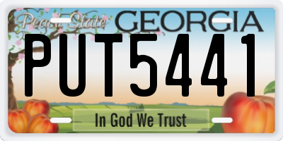 GA license plate PUT5441