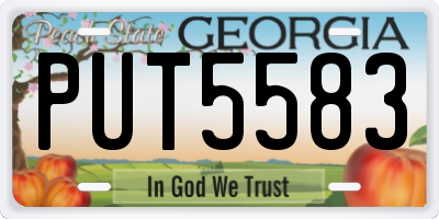 GA license plate PUT5583