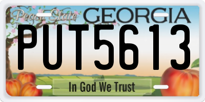 GA license plate PUT5613