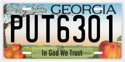 GA license plate PUT6301