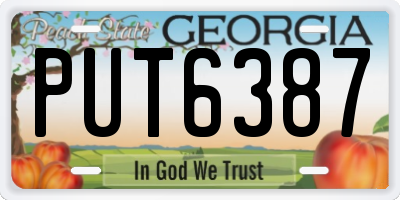 GA license plate PUT6387