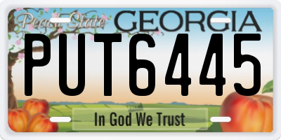 GA license plate PUT6445