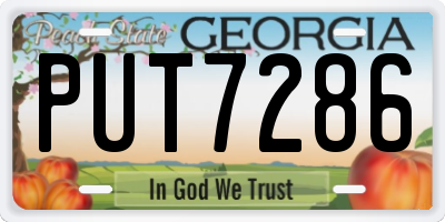 GA license plate PUT7286