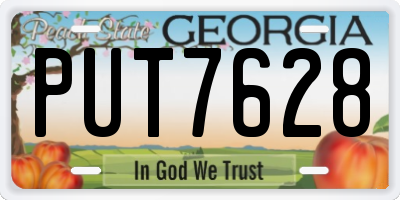 GA license plate PUT7628