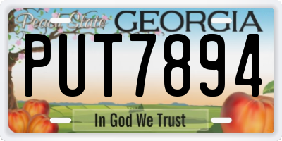 GA license plate PUT7894