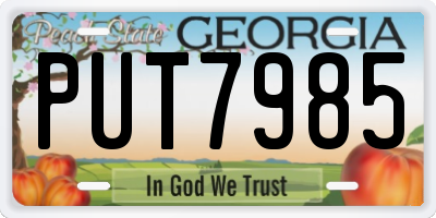 GA license plate PUT7985