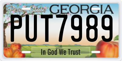 GA license plate PUT7989