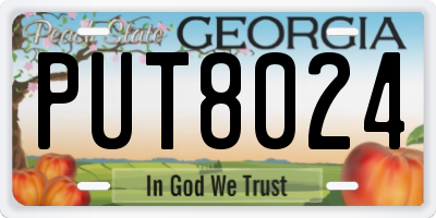 GA license plate PUT8024