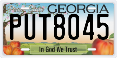 GA license plate PUT8045