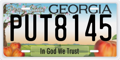 GA license plate PUT8145
