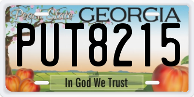GA license plate PUT8215