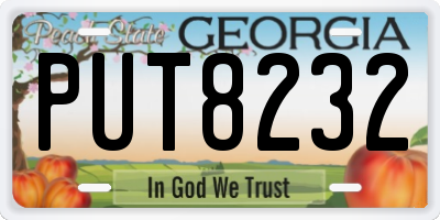GA license plate PUT8232
