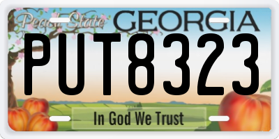 GA license plate PUT8323