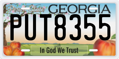GA license plate PUT8355