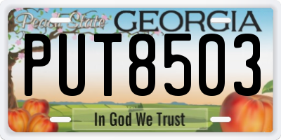 GA license plate PUT8503