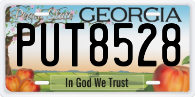 GA license plate PUT8528