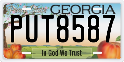 GA license plate PUT8587