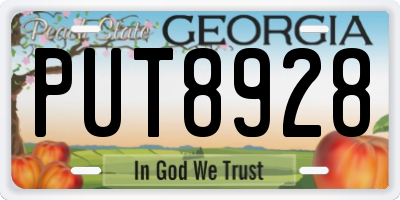 GA license plate PUT8928