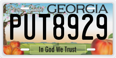 GA license plate PUT8929