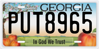 GA license plate PUT8965