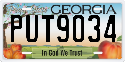 GA license plate PUT9034