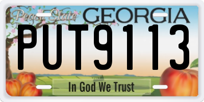 GA license plate PUT9113