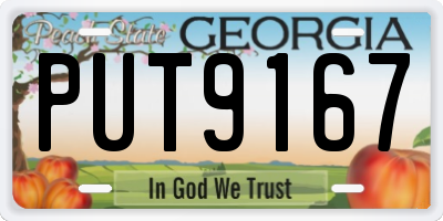 GA license plate PUT9167