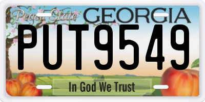GA license plate PUT9549