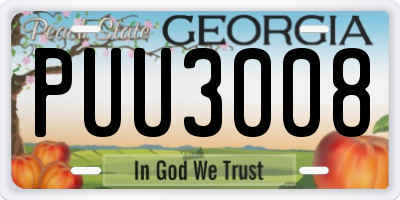 GA license plate PUU3008