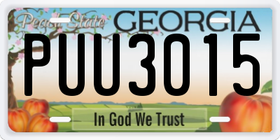GA license plate PUU3015