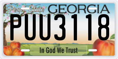 GA license plate PUU3118